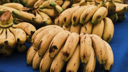 how to buy banana carefully note these tips to choose good bananas at the market