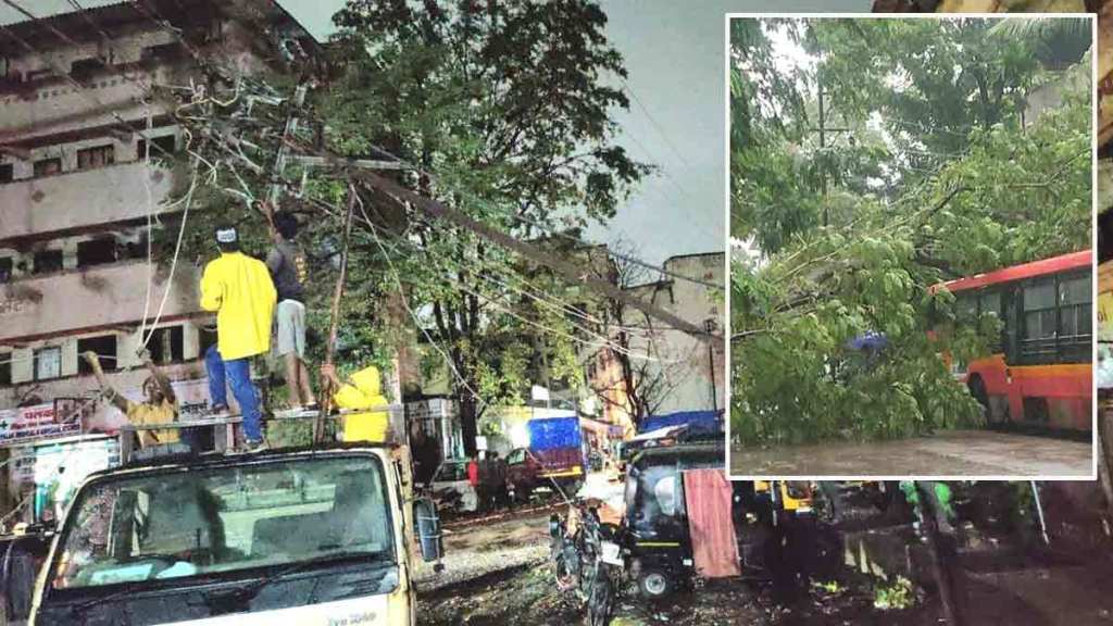 tree electric pole fall down in dombivli