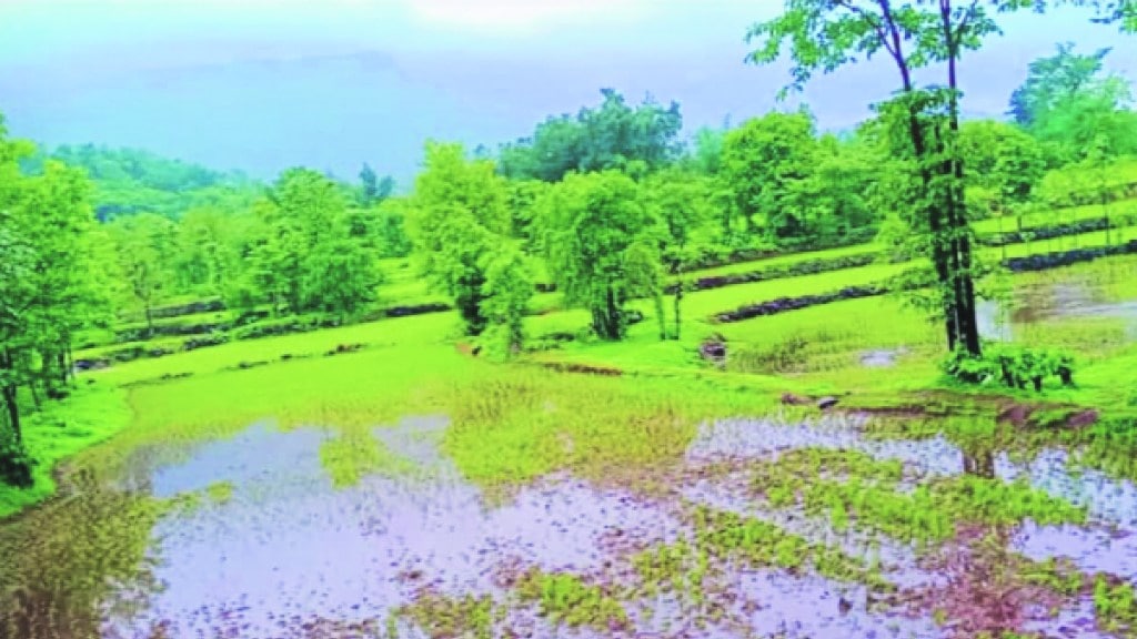 pune flood