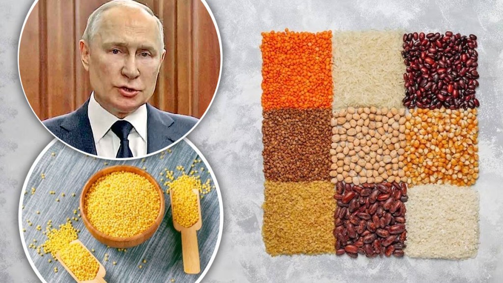 russia stop export grain