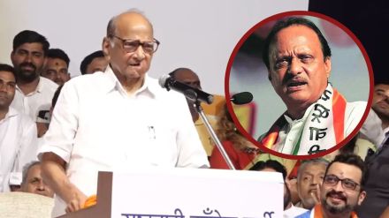 sharad pawar on ajit pawar ncp and symbol watch