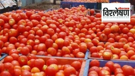 excessive price hike of tomatoes