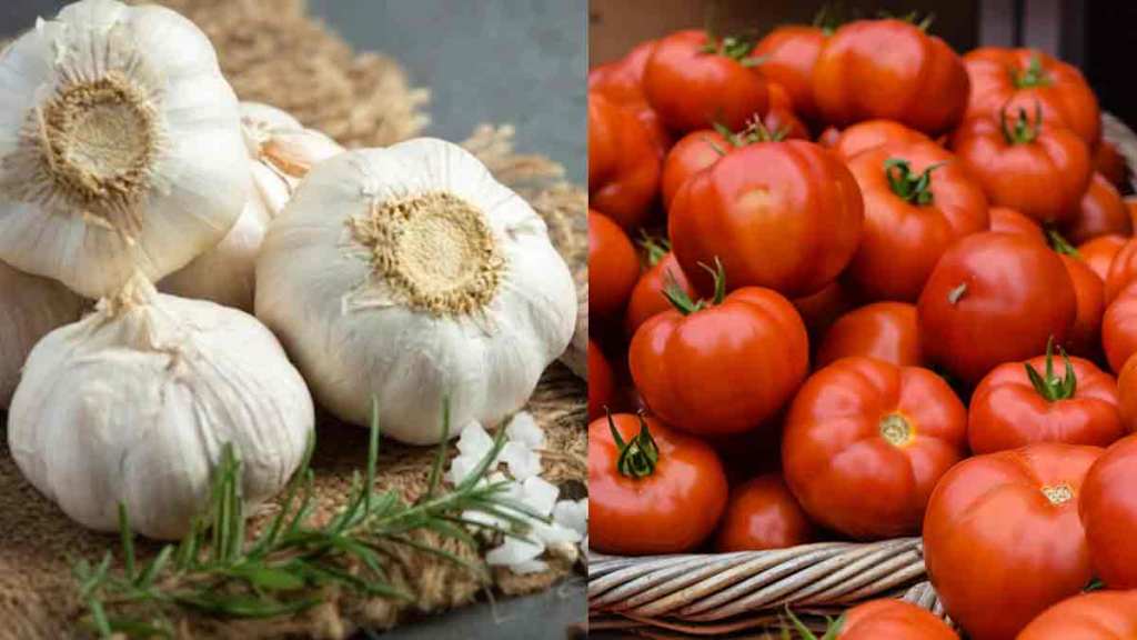 tomatoes and garlic prices increased