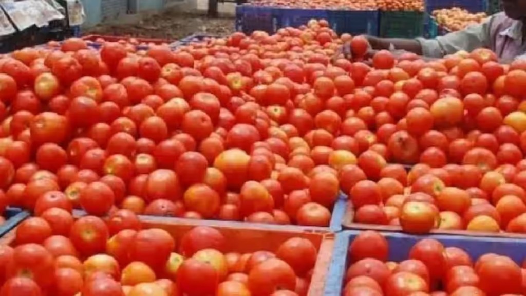 tomato price hike theft