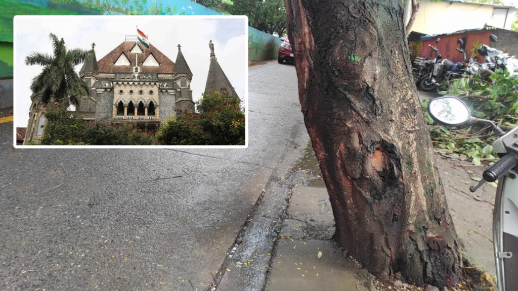 tree in concrete high court