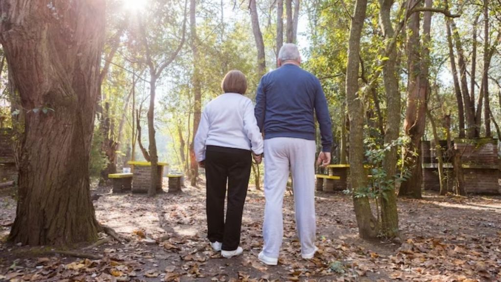 walking improve memory in older adults