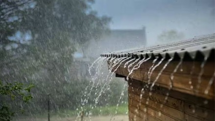 heavy rains yavatmal roads, schools closed