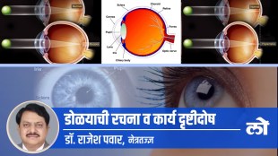 eye function, eye specialist, retina