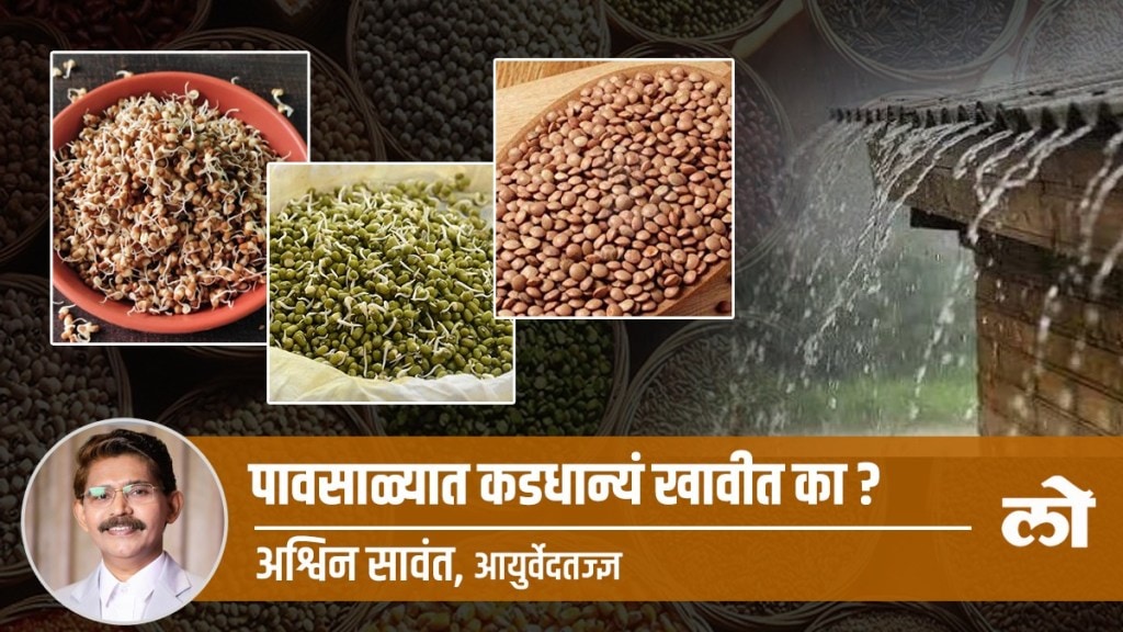 pulses in rainy season