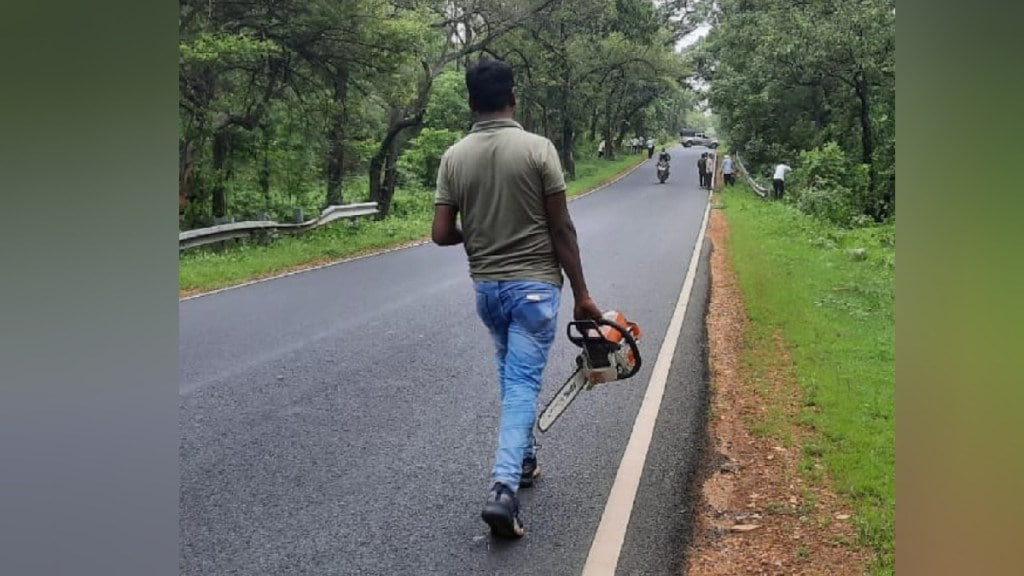 After the death of the tiger in the accident the administration of the concerned department along with the forest department started taking vigilance gondiya