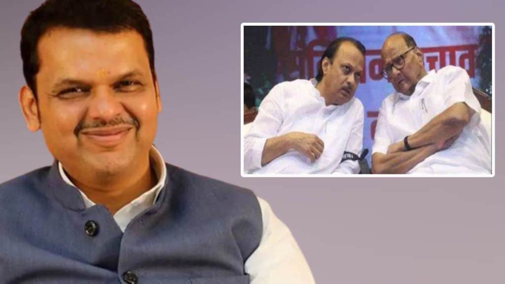 What Devendra Fadnavis Said?