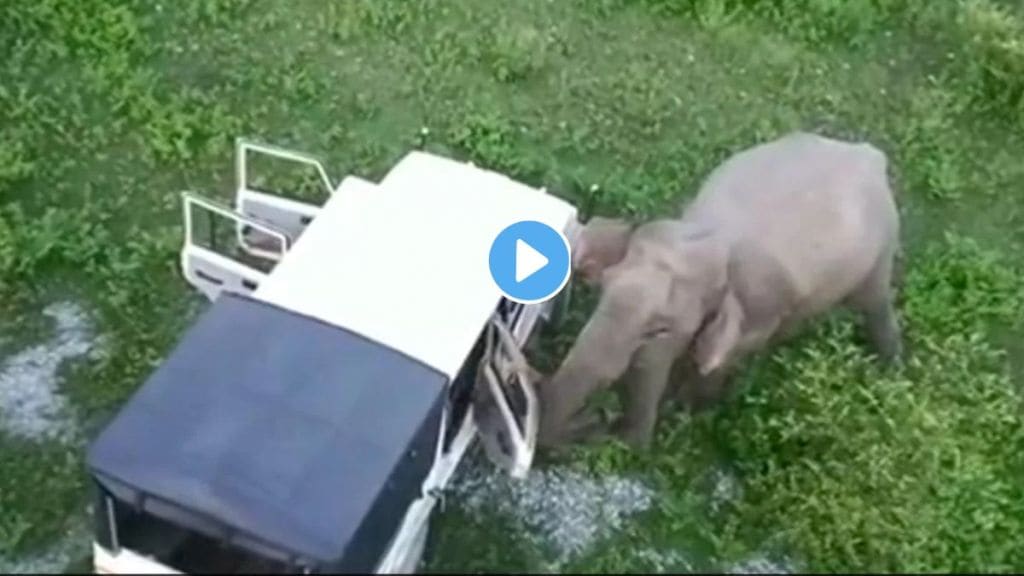 Elephant Attack On A Car Video Viral