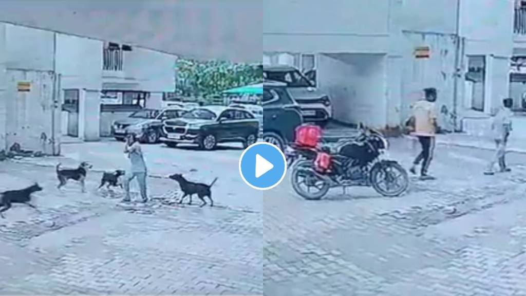 UttarPradesh:viral video of Ghaziabad is scary A child was surrounded by 5 dogs. Scratched it several times. The child kept making noise. Then a delivery boy came, saved his life