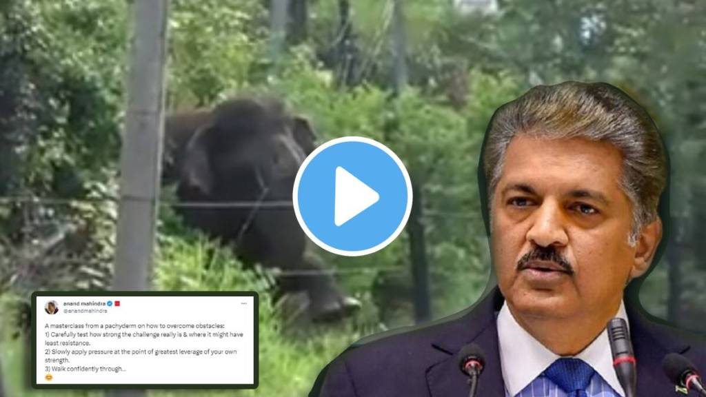 anand mahindra shared elephant video crossing wire fencing carefully giving three life lessons watch viral video