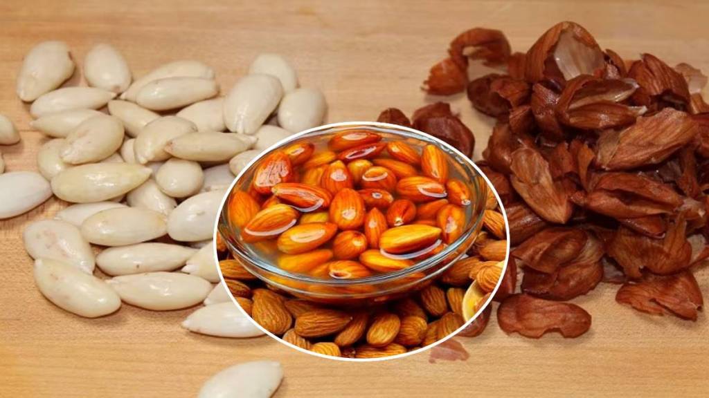 Almond with shell almond benefits and know the right way to eat almond for more benefit srk 21