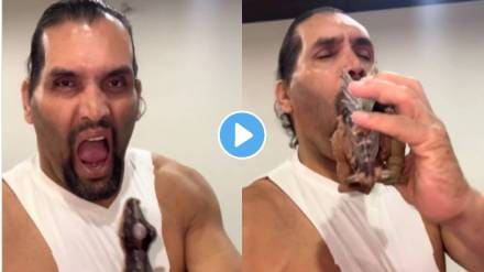 video of indian professional wrestler wwe fame great khali goes viral he great khali eating a big dinasaur