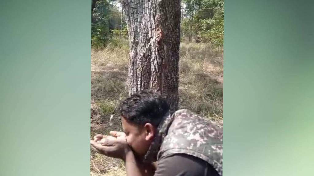 Tadoba water out of tree