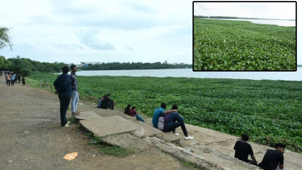 Ambazari lake in Nagpur