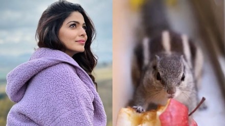 Marathi actress pooja sawant shares Rio Squirrel memories