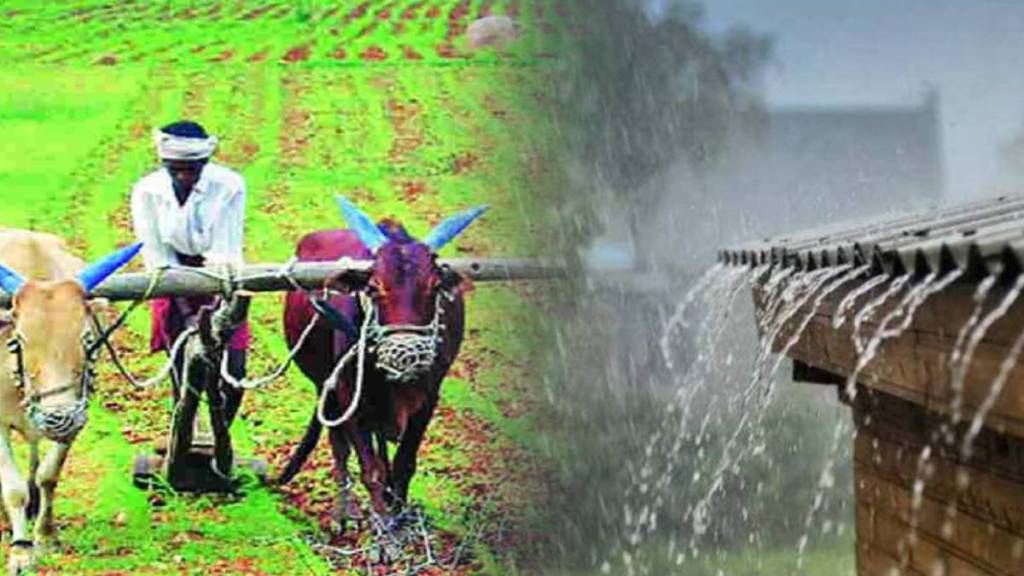 Soybeans maharashtra