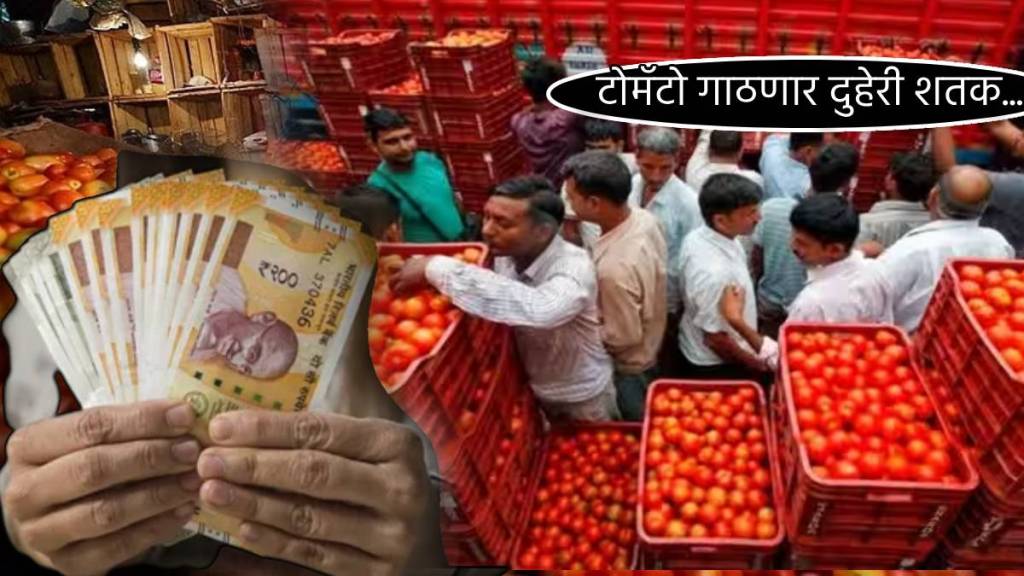 Tomato Price hike Again 200 rupees Kilos Tomatoes Red Hot Prices At Delhi Maharashtra Wholesale Market Ongoing Week Rates