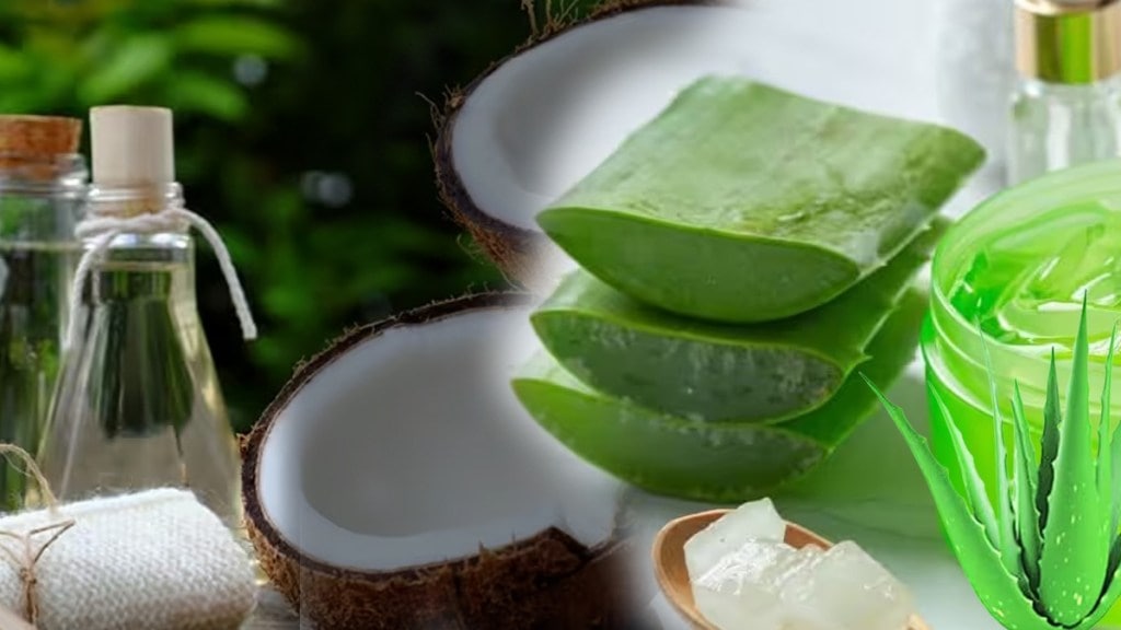 coconut oil aloe vera benifits for skin and hairs