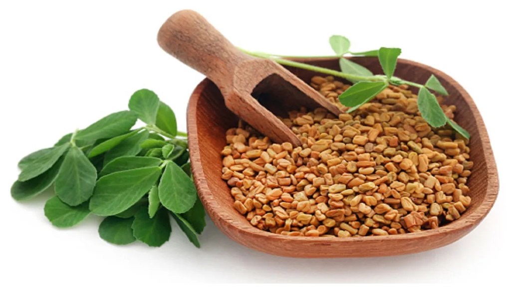 benifits of drinking fenugreek seeds water