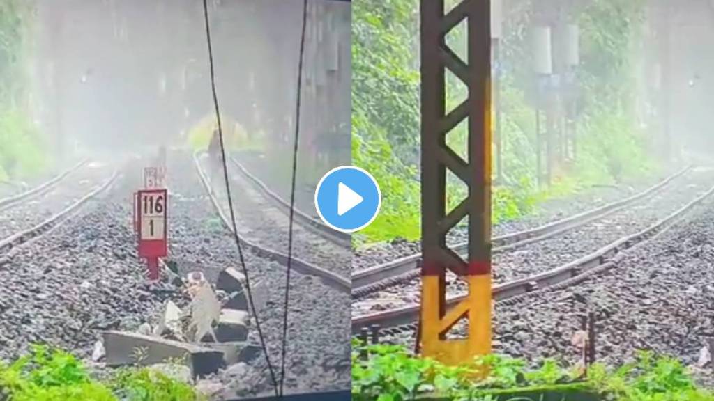 Can You Spot It? 'Leopard' Zooms Past Lonavala Tracks Amid Fog. Some Think It's Tiger | WATCH Video