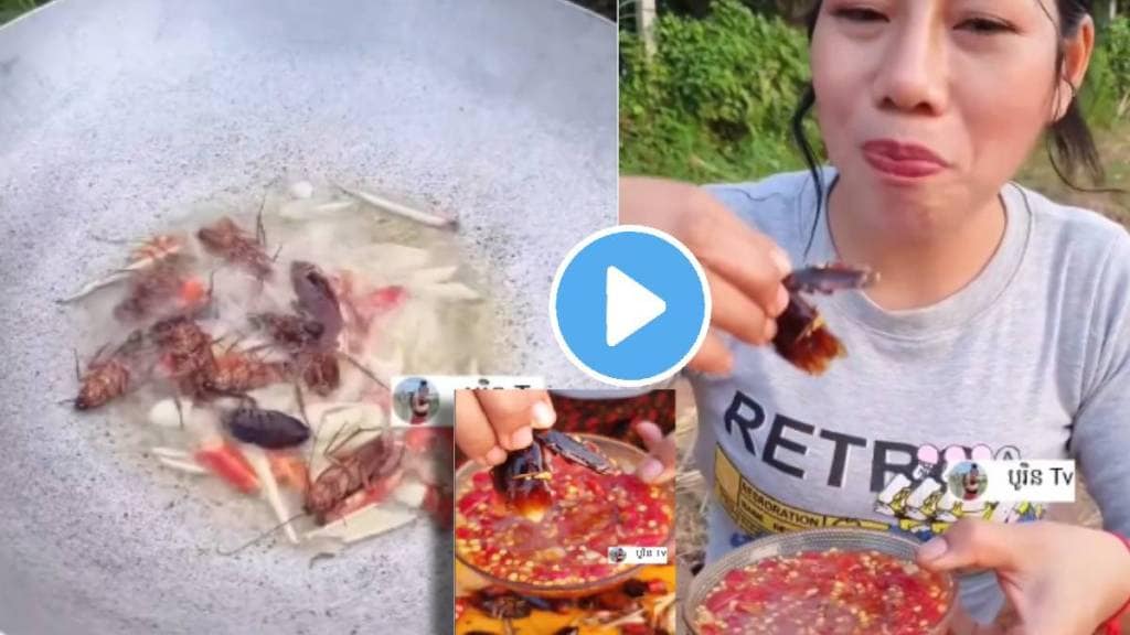 girl eating cockroach with tomato chilli sauce people shocked to see the viral video