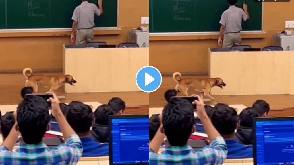 Dog entered in iit bombay classroom during teacher was teaching video viral on social media