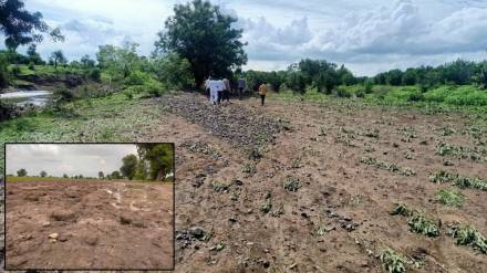 Damage due to heavy rain Buldhana