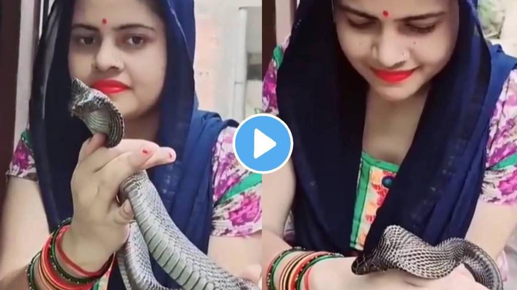 king cobra woman playing with poisonous king cobra woman catches king cobra snake by hand video goes viral