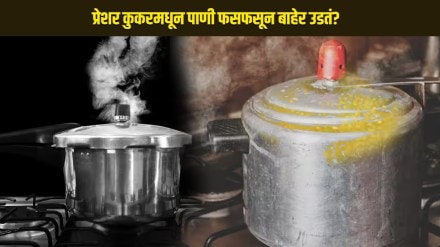 Pressure cooker leakage