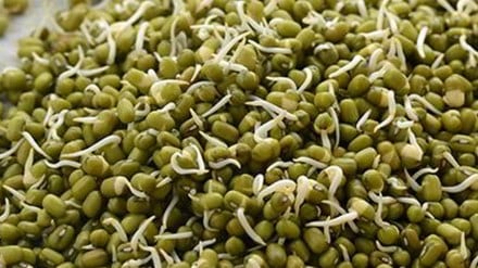 Moong Benefits