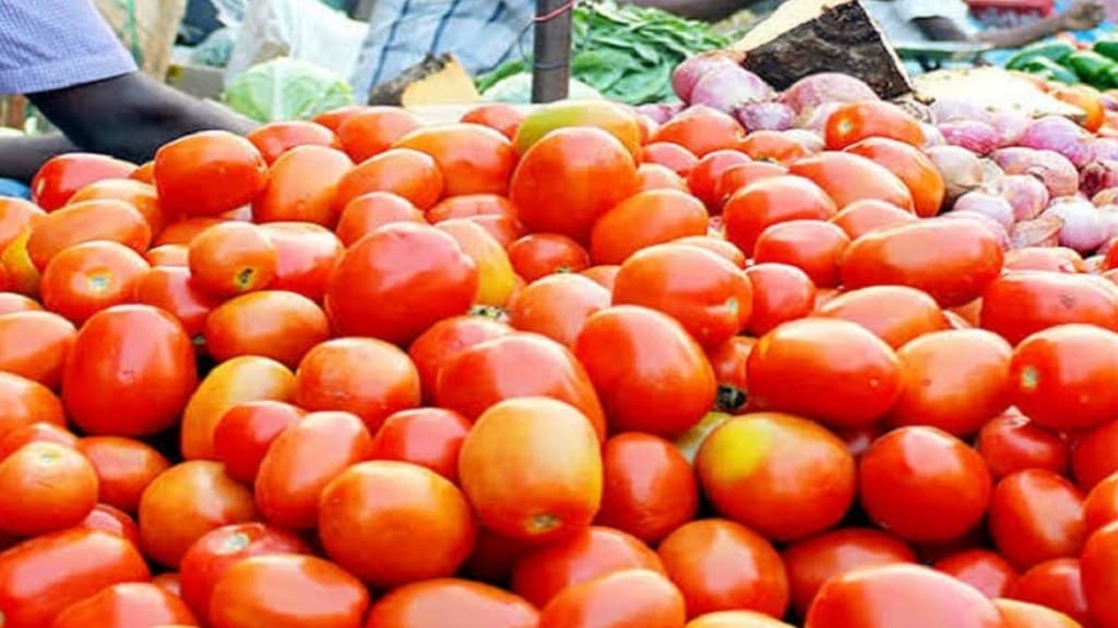 Gondia vegetable market tomatoes