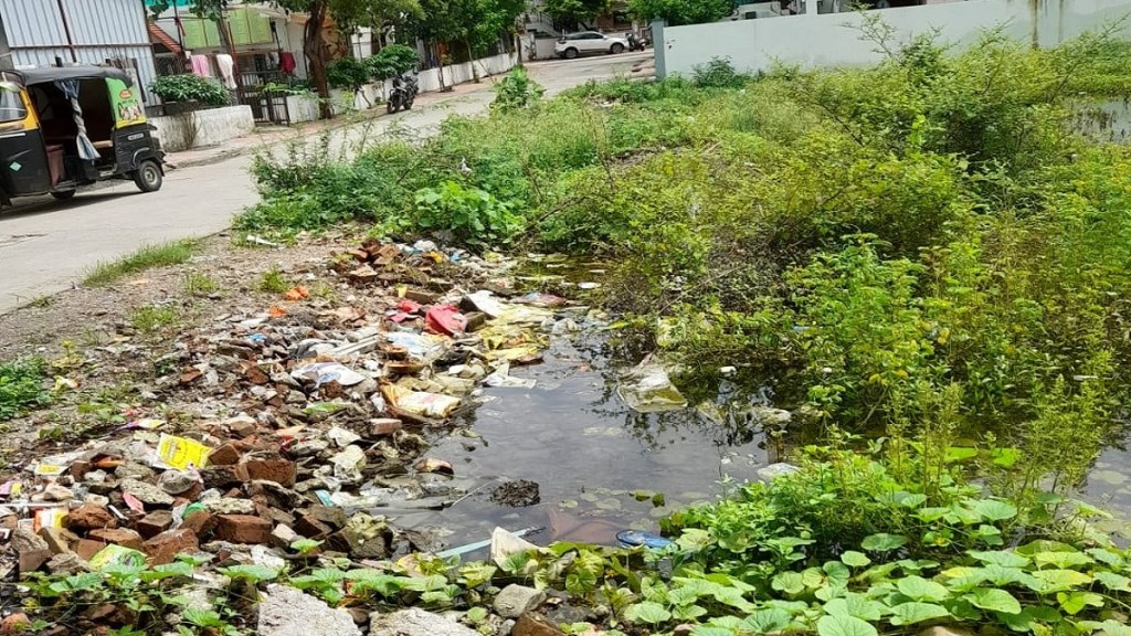 Amravati uncleanliness open plot