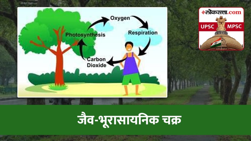 Biogeochemical Cycles