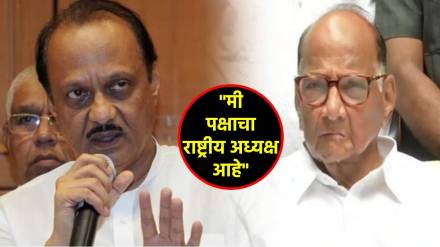 ajit pawar sharad pawar (2)