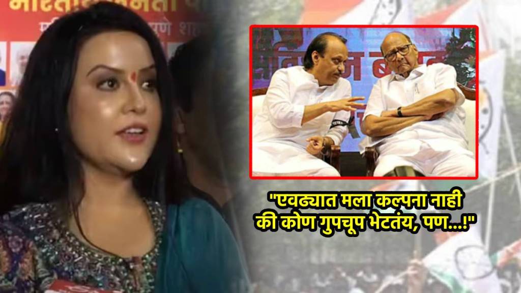 amruta fadnavis sharad pawar ajit pawar (1)