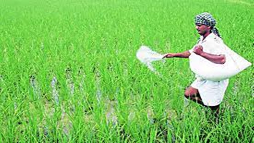 urea fertilizer shortage in akola