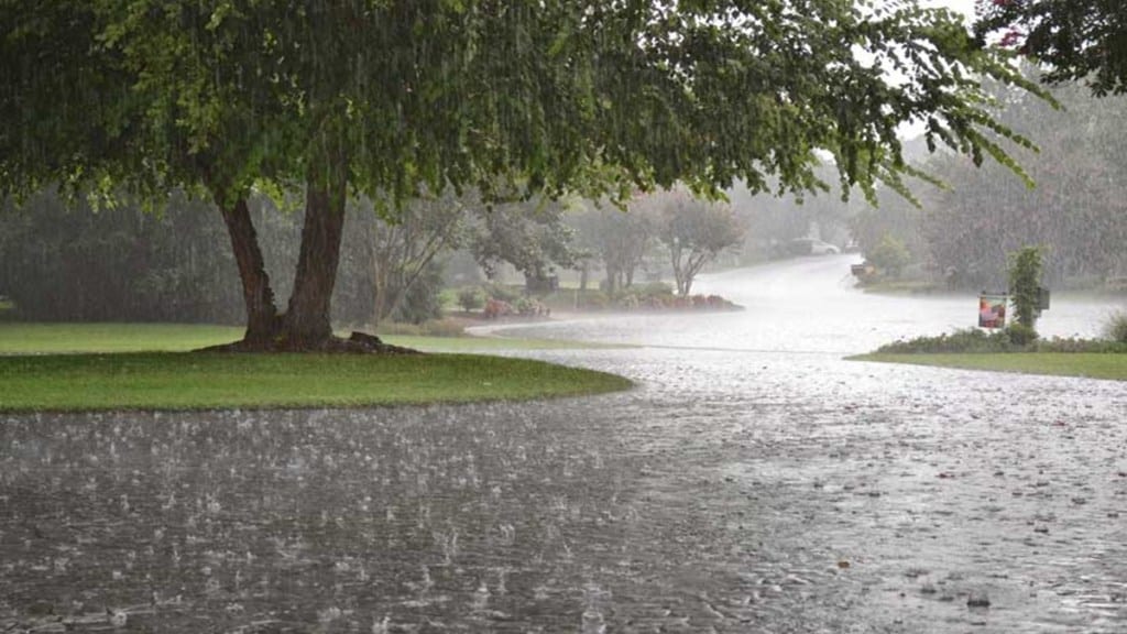 Rain in Konkan and Vidarbh Started August Dry Month