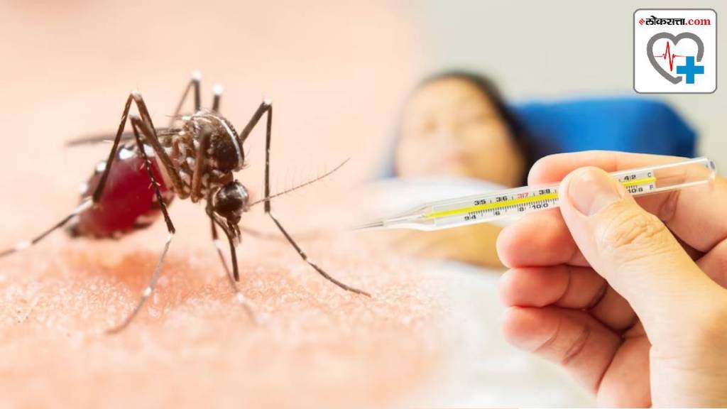 dengue cases rise denv 2 strain infection whats the denv-2 strain causes symptoms treatment