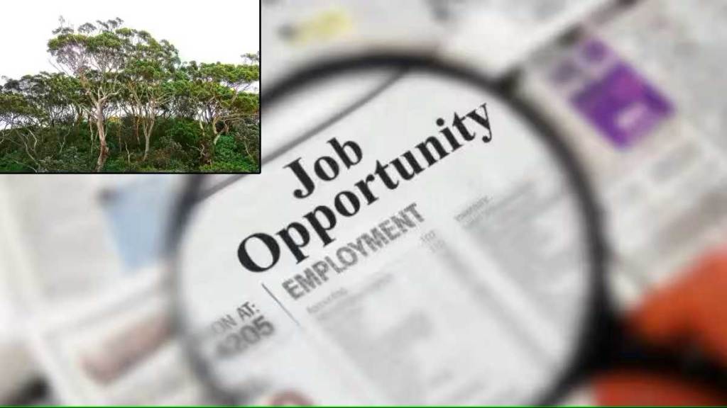 first phase of forest guard recruitment started