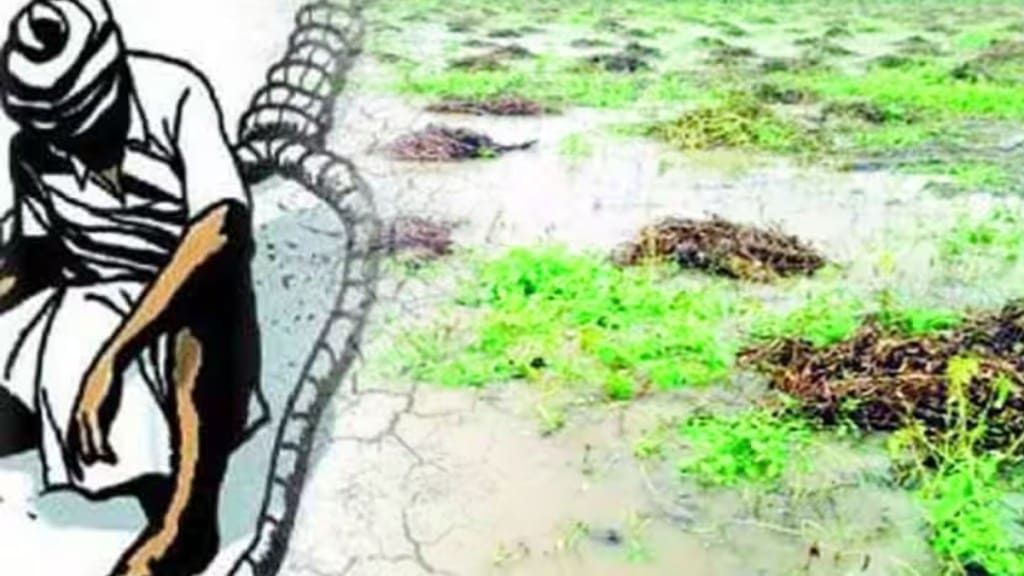 heavy rains the loss of agriculture farmers commits suicide