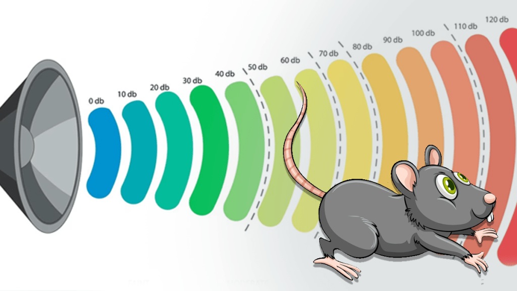 high sound waves repel rats hospital mumbai