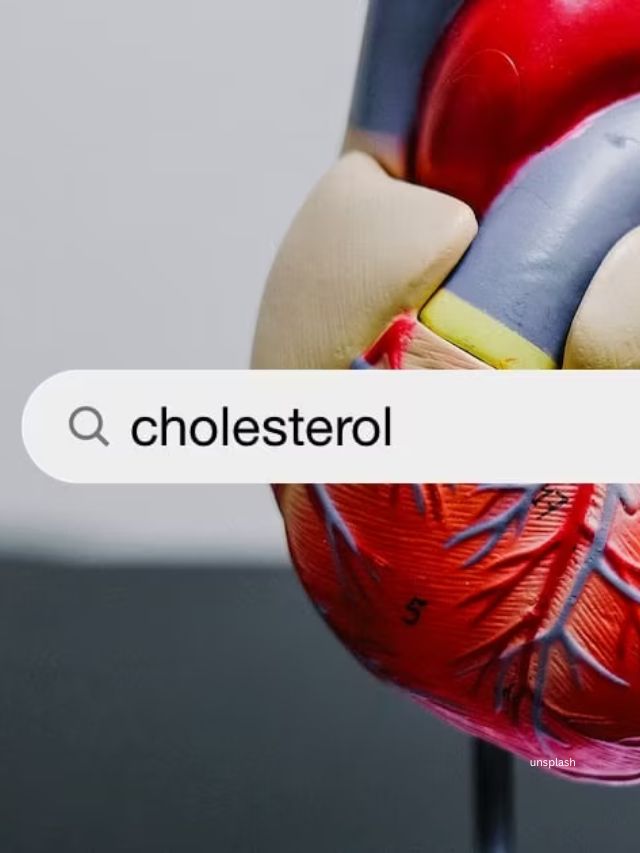 cholesterol (unsplash)