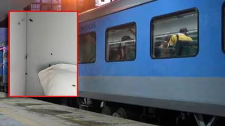 irctc news nightmare indian railway passenger shares pic of cockroaches in on Delhi-Tirupati Express coach