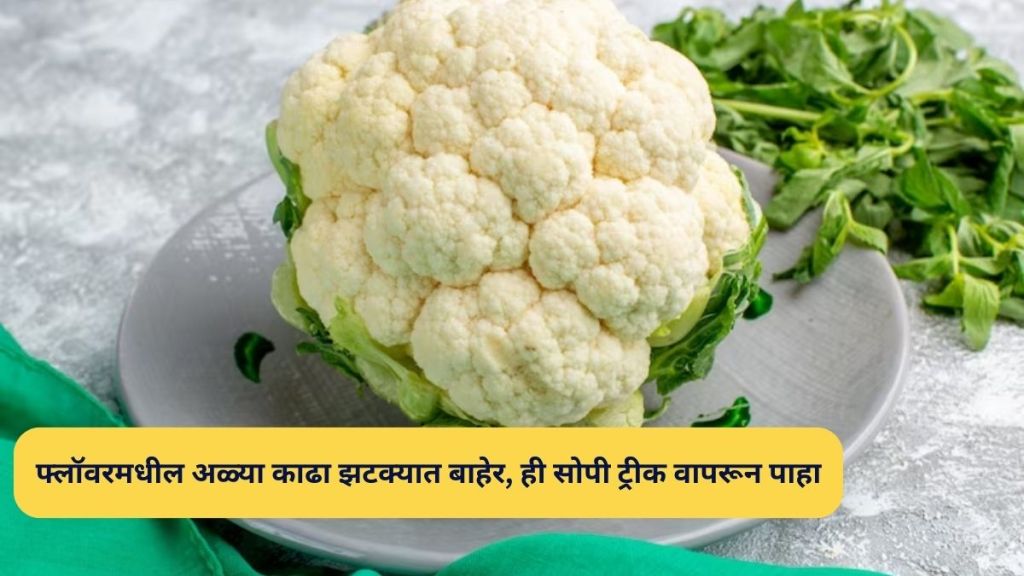 How To Get Rid Of Worm From Cabbage cauliflower Green Vegetables try these home remedies