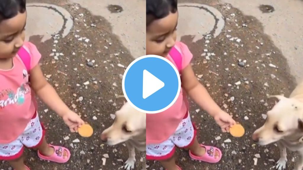 a girl child feeding biscuits to the dog mother shoot video goes viral netizens said emotional heart touching video