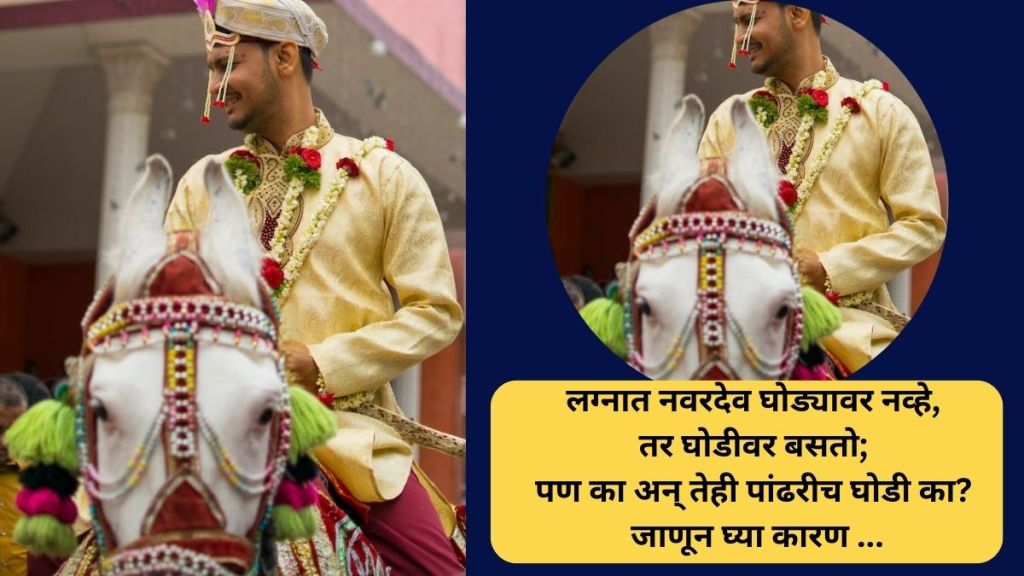 why groom come in wedding sitting on female white horse read reason